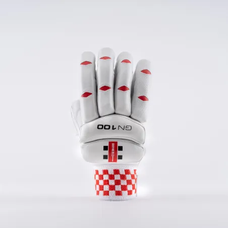Gray-Nicolls GN100 Cricket Gloves (2023)
