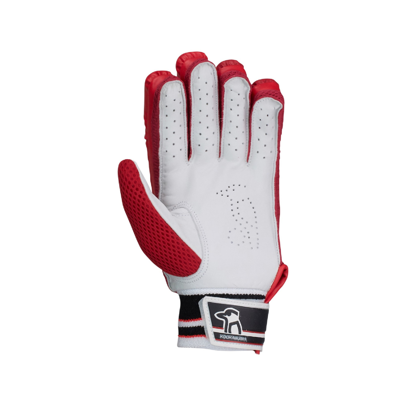 Kookaburra 4.1 T/20 Cricket Gloves - Red (2023) - Back View