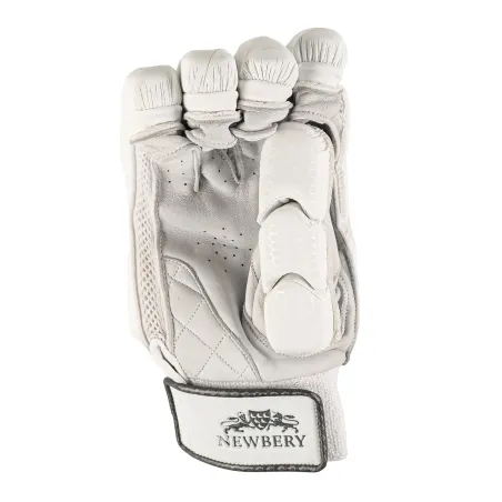 Newbery Player Cricket Gloves (2023)
