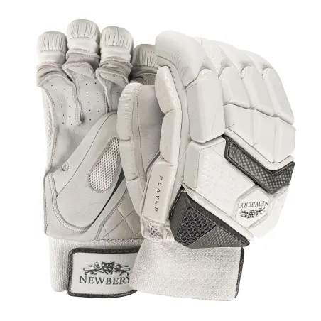 Newbery Player Cricket Gloves (2023)