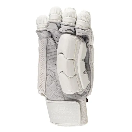 Newbery SPS Elite Cricket Gloves (2023)