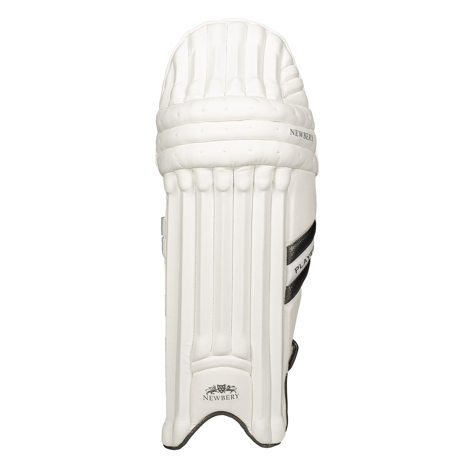Newbery Player Cricket Pads (2023) - Newbery Player Cricket Pads (2023) - Newbery Player Cricket Pads (2023) - Newbery Player Cr