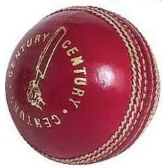 Readers Century Presentazione Cricket Ball  - Palline da cricket
