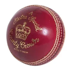 Kopen Lezers Extra Special A Cricket Ball