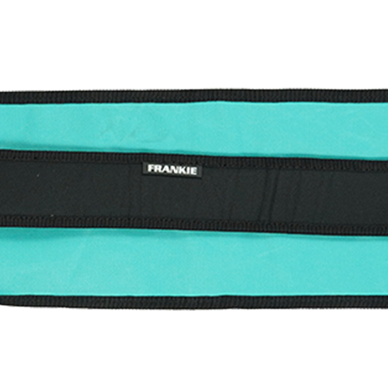Gryphon Frankie GXXII Hockey Bag - Teal (2022/23) - Gryphon Frankie GXXII Hockey Bag - Teal (2022/23) - Gryphon Frankie GXXII Ho