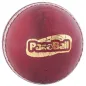 Kookaburra Paceball (2023)