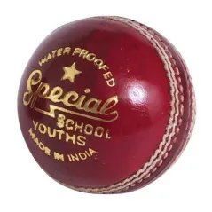 Kopen Lezers Special School JUNIOR Cricket Ball