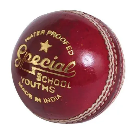 Readers Special School JUNIOR Cricket Ball - Readers Special School JUNIOR Cricket Ball - Readers Special School JUNIOR Cricket 