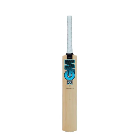 GM Diamond 101 BS55 Opener Cricket Bat (2023)