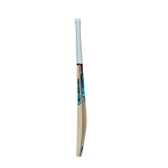 GM Diamond 101 BS55 Striker Cricket Bat (2023)