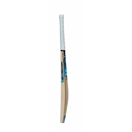 GM Diamond 101 BS55 Striker Cricket Bat (2023)