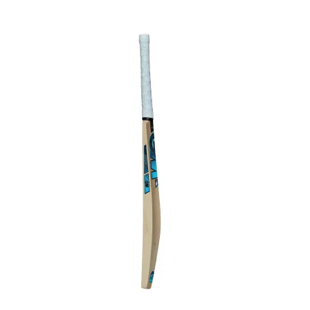 GM Diamond 101 BS55 Opener Cricket Bat (2023)
