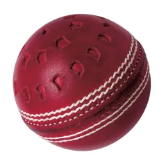 GM Chevron Swing Cricket Ball (2023)