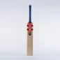 Gray Nicolls Hypernova Gen 1.1 300 Junior Cricket Bat (2023)