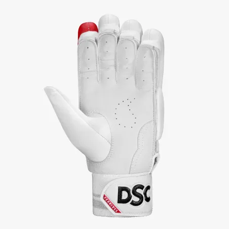DSC Flip 3.0 Cricket Gloves (2023)