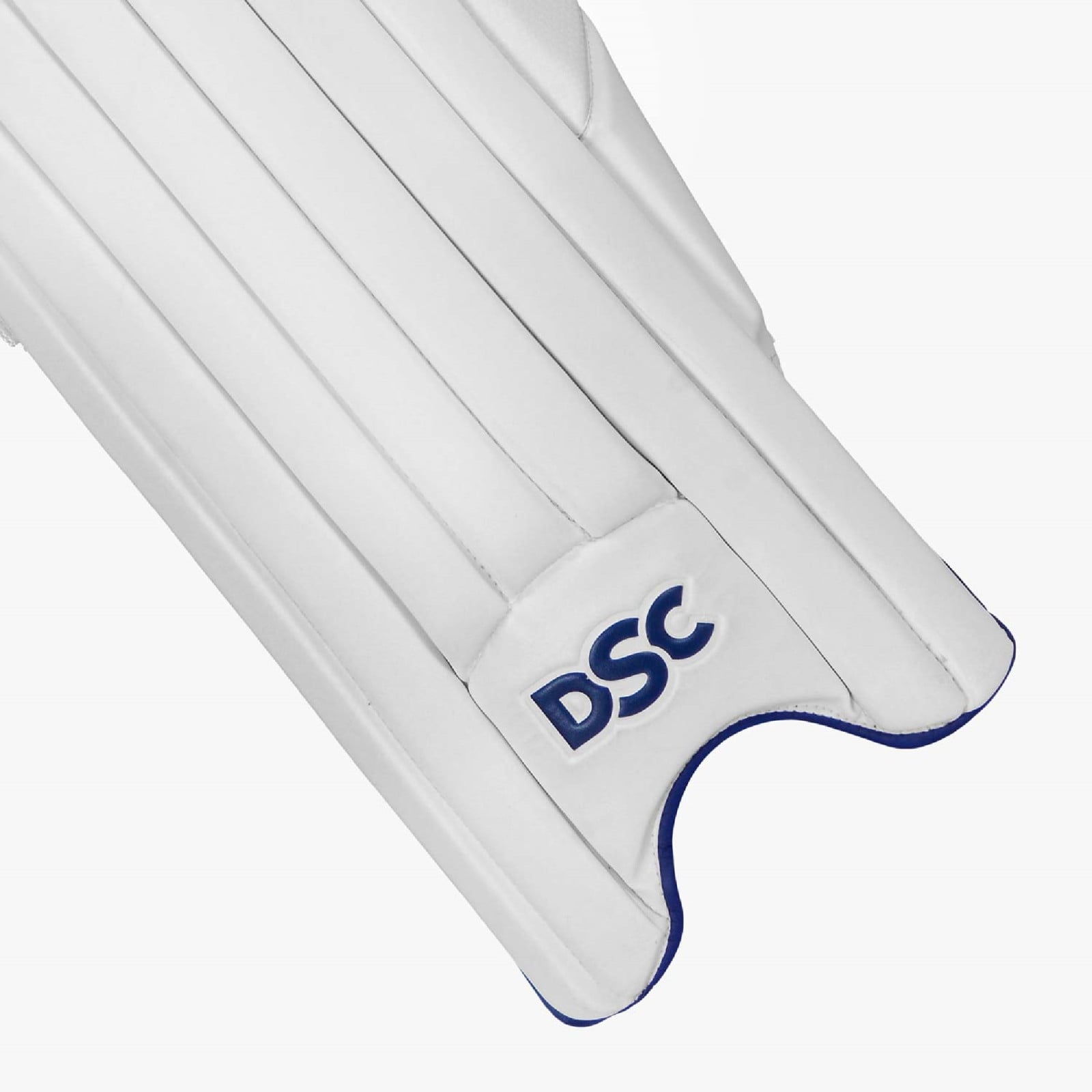 DSC Pearla X1 Cricket Pads (2023) - Back View