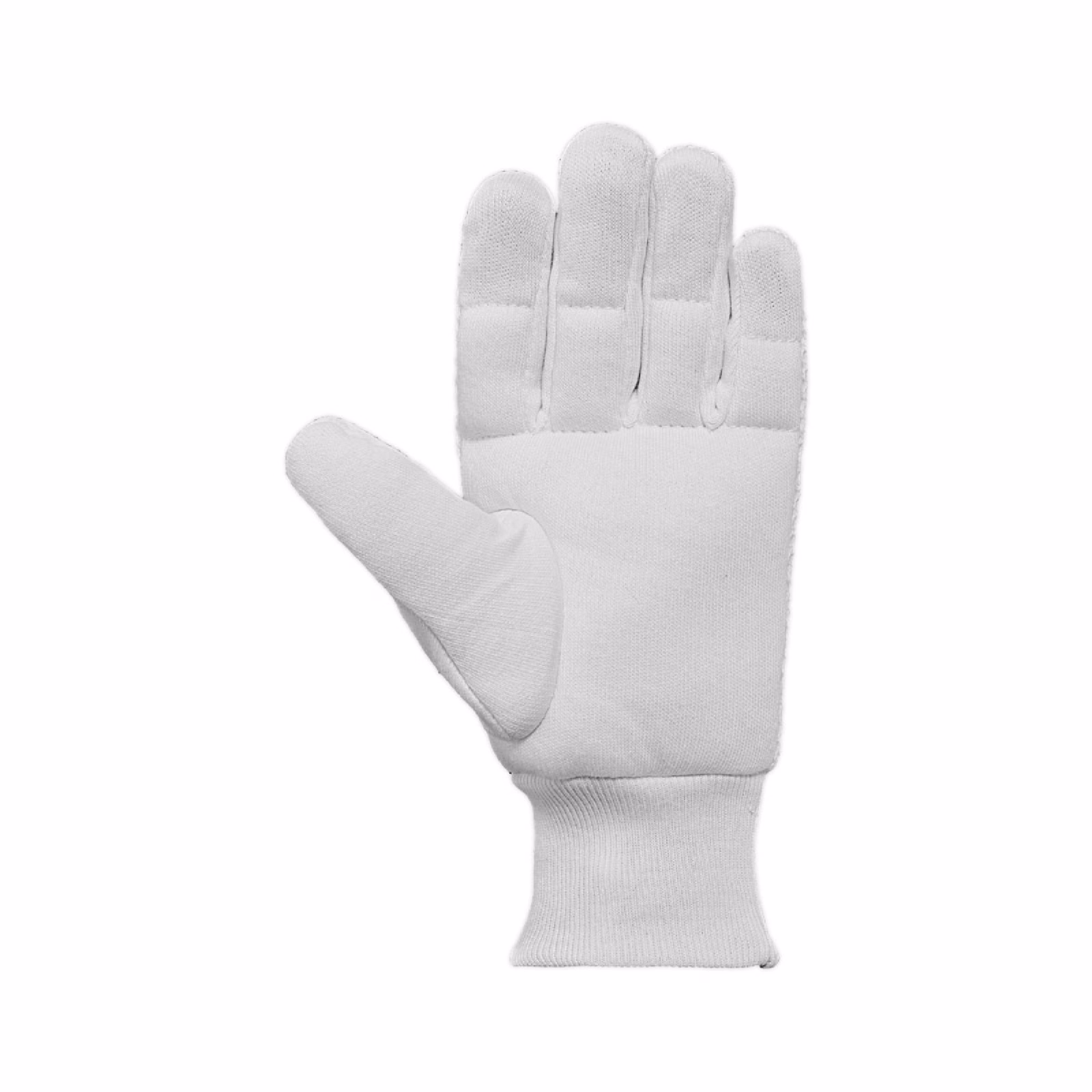 DSC Surge Wicket Keeping Inners (2024) - DSC Surge Wicket Keeping Inners (2024) - DSC Surge Wicket Keeping Inners (2024) - DSC Surge Wicket Keeping Inners (2024) - DSC S