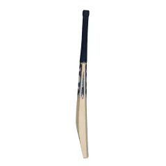 World Class Willow Orca LE Cricket Bat - Orbit (2024) - Detail