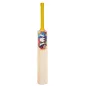 World Class Willow Orca 5 Star Cricket Bat - Caribbean (2022)