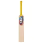World Class Willow Pro X20 5 Star Cricket Bat - Caribbean (2024)