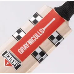 🔥 Gray Nicolls GN Academy Junior Cricket Bat (2023) | Next Day Delivery 🔥