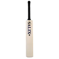 Salix AJK Marque Cricket Bat (2023)