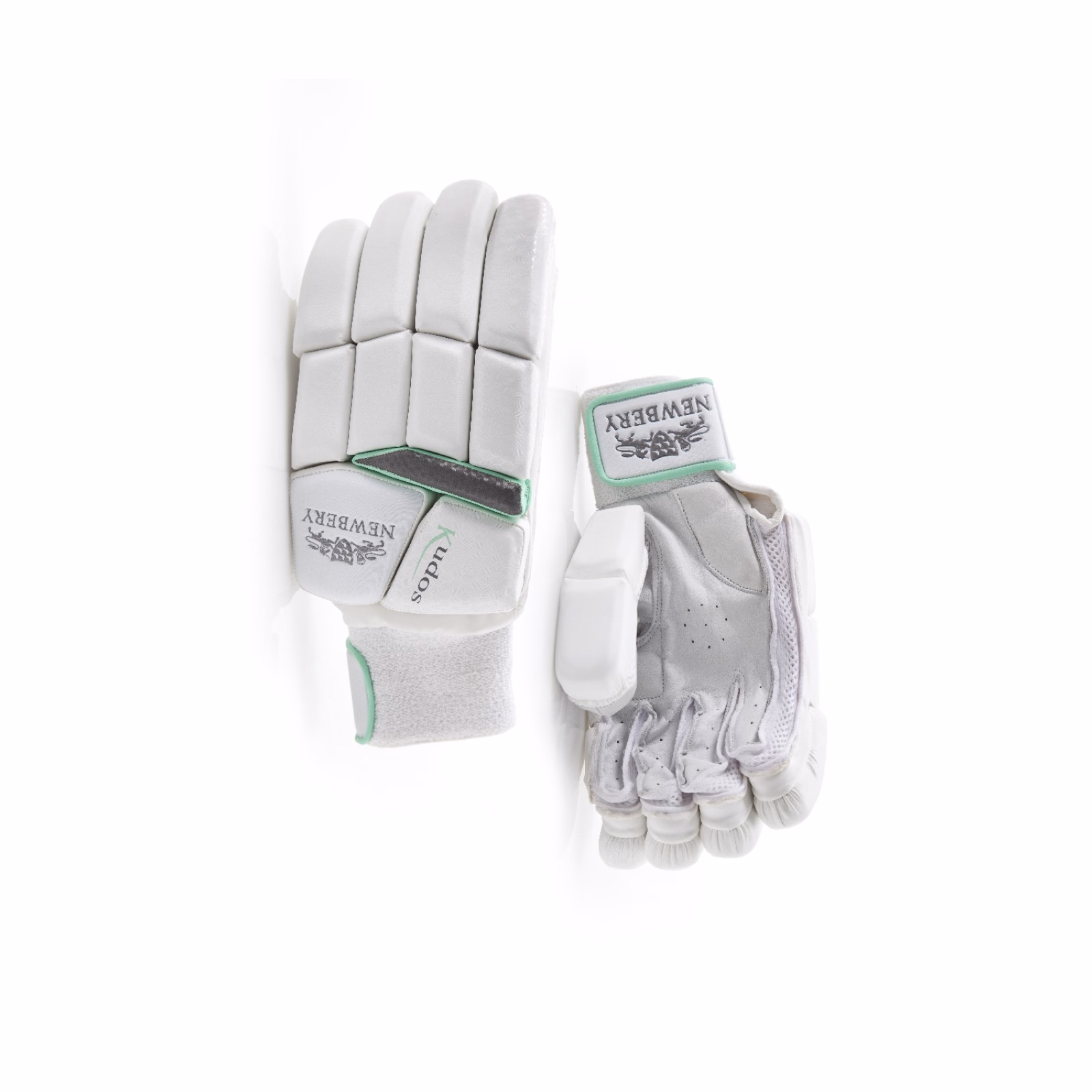 Newbery Kudos Cricket Gloves (2023) - Newbery Kudos Cricket Gloves (2023) - Newbery Kudos Cricket Gloves (2023) - Newbery Kudos Cricket Gloves (2023) - Newbery Kudos 