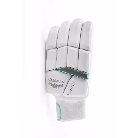 Newbery Kudos Cricket Gloves (2023)