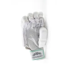 Newbery Kudos Cricket Gloves (2023) - Newbery Kudos Cricket Gloves (2023) - Newbery Kudos Cricket Gloves (2023) - Newbery Kudos 