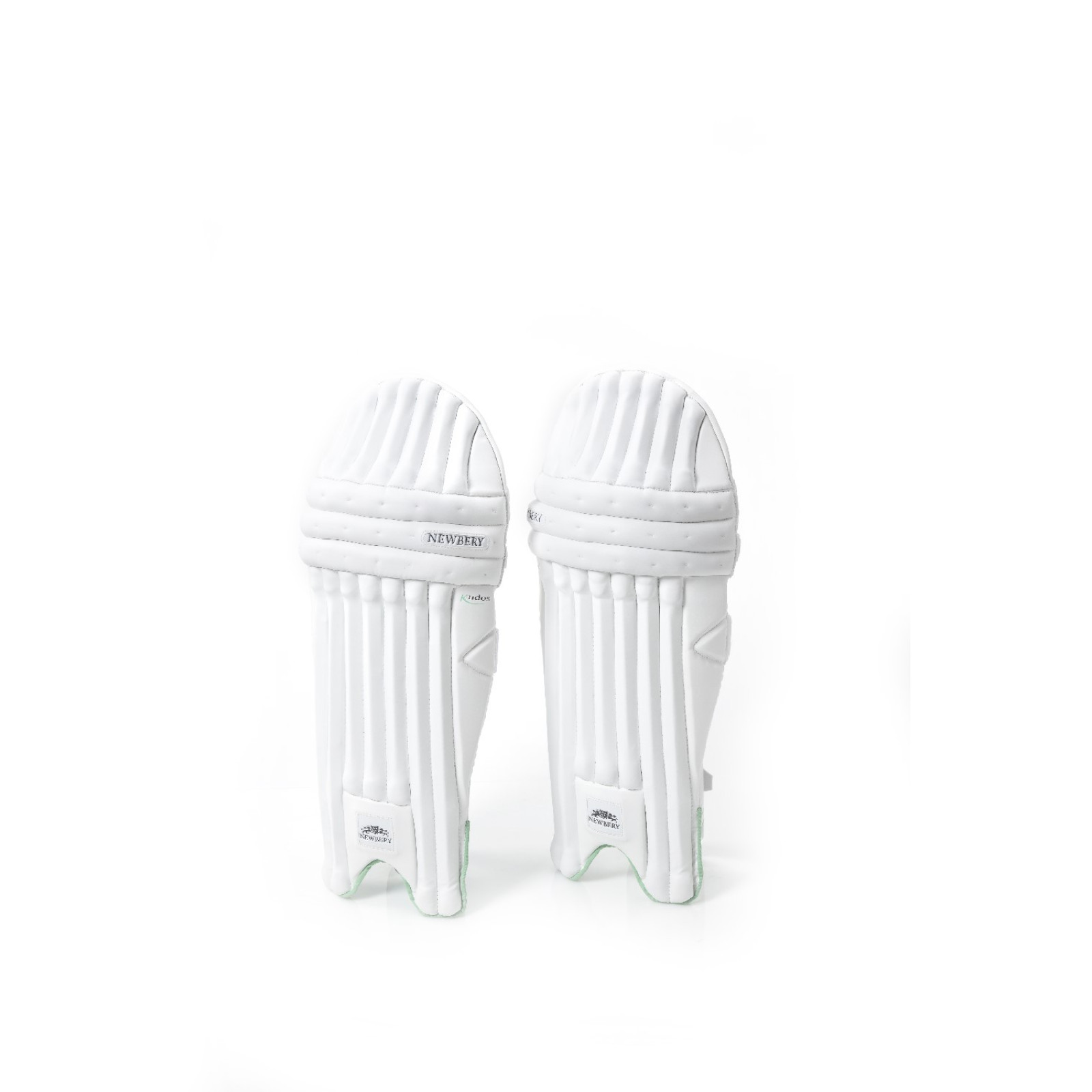 Newbery Kudos Junior Cricket Pads (2023) - Newbery Kudos Junior Cricket Pads (2023) - Newbery Kudos Junior Cricket Pads (2023) - Newbery Kudos Junior Cricket Pads (2023) -