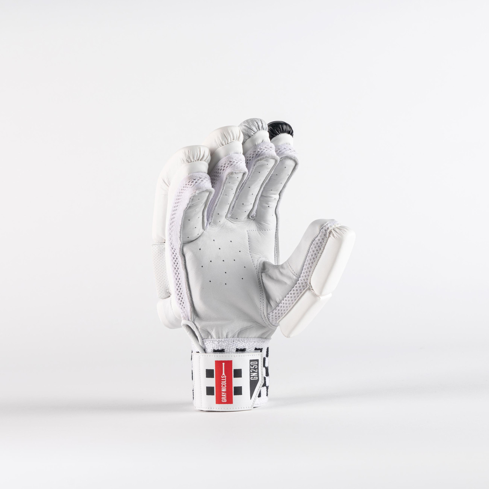 Gray-Nicolls GN250 Cricket Gloves (2024) - Gray-Nicolls GN250 Cricket Gloves (2024) - Gray-Nicolls GN250 Cricket Gloves (2024) -