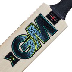 🔥 GM Aion Signature Cricket Bat (2024) | Next Day Delivery 🔥