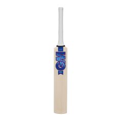 GM Mana Miniature Cricket Bat (2024)