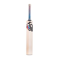 Kookaburra Aura Pro Small Adult Cricket Bat (2024) - Detail
