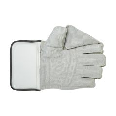 Newbery 5 Star Wicket Keeping Gloves (2024) - Back View