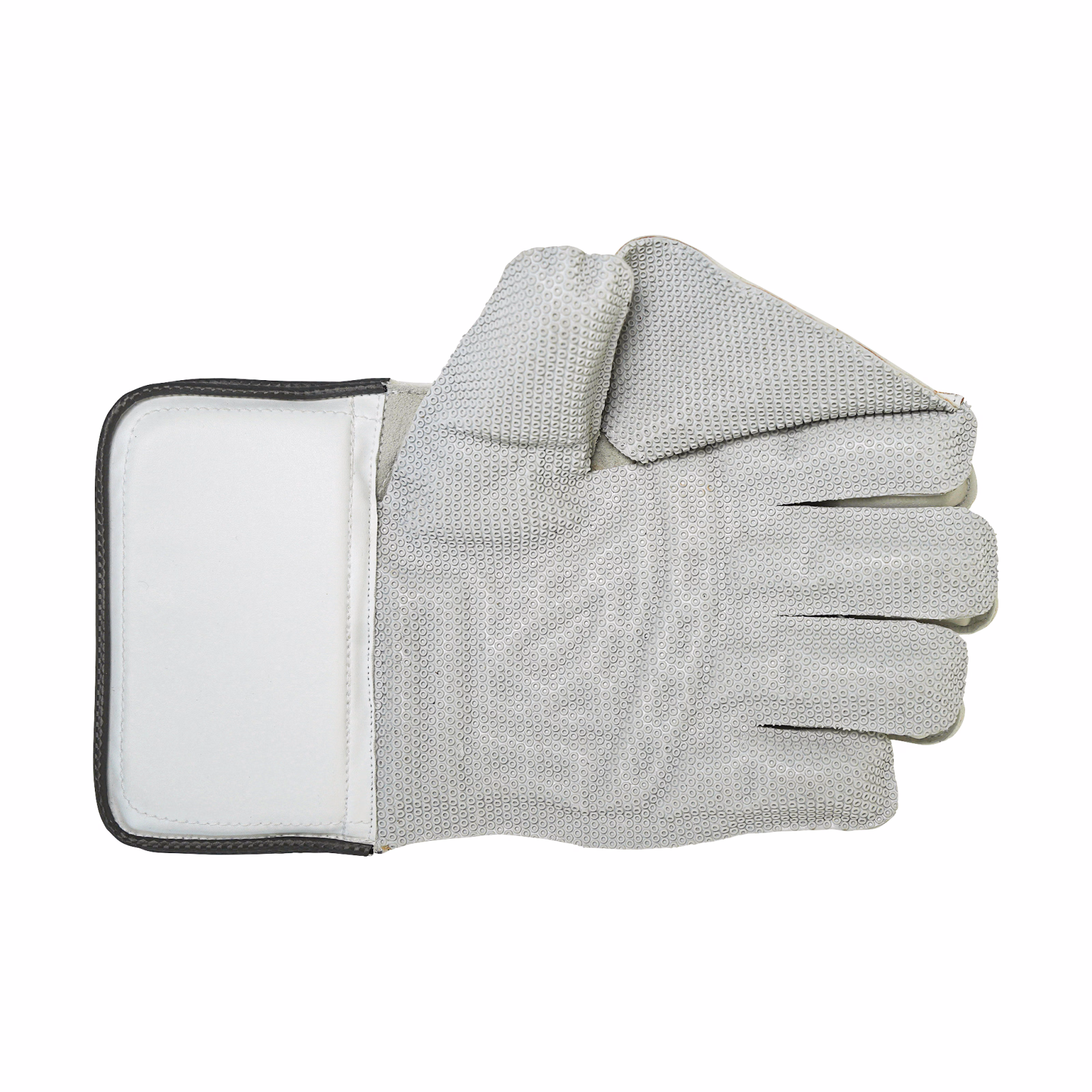 Newbery 5 Star Wicket Keeping Gloves (2024) - Back View