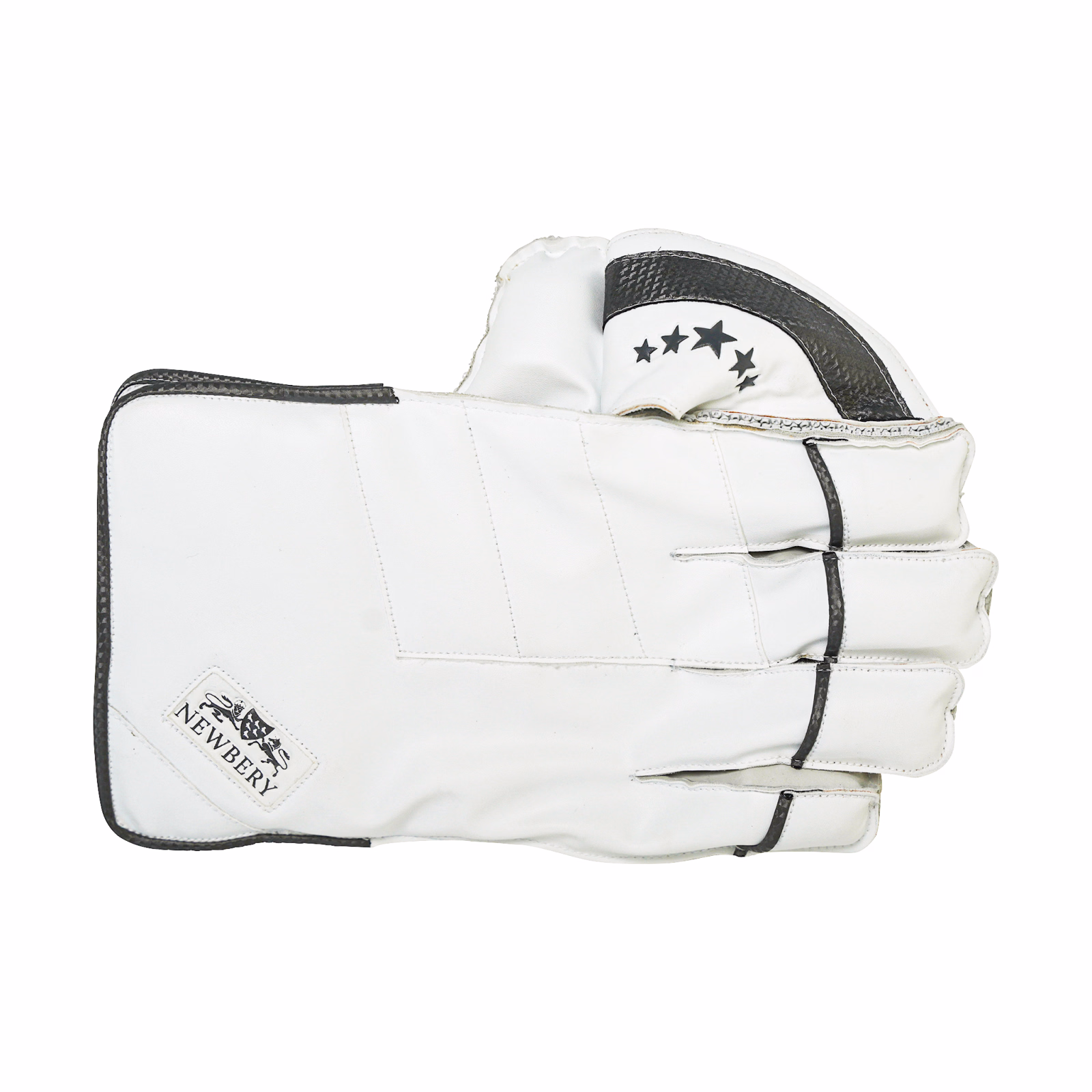 Newbery 5 Star Wicket Keeping Gloves (2024) - Detail