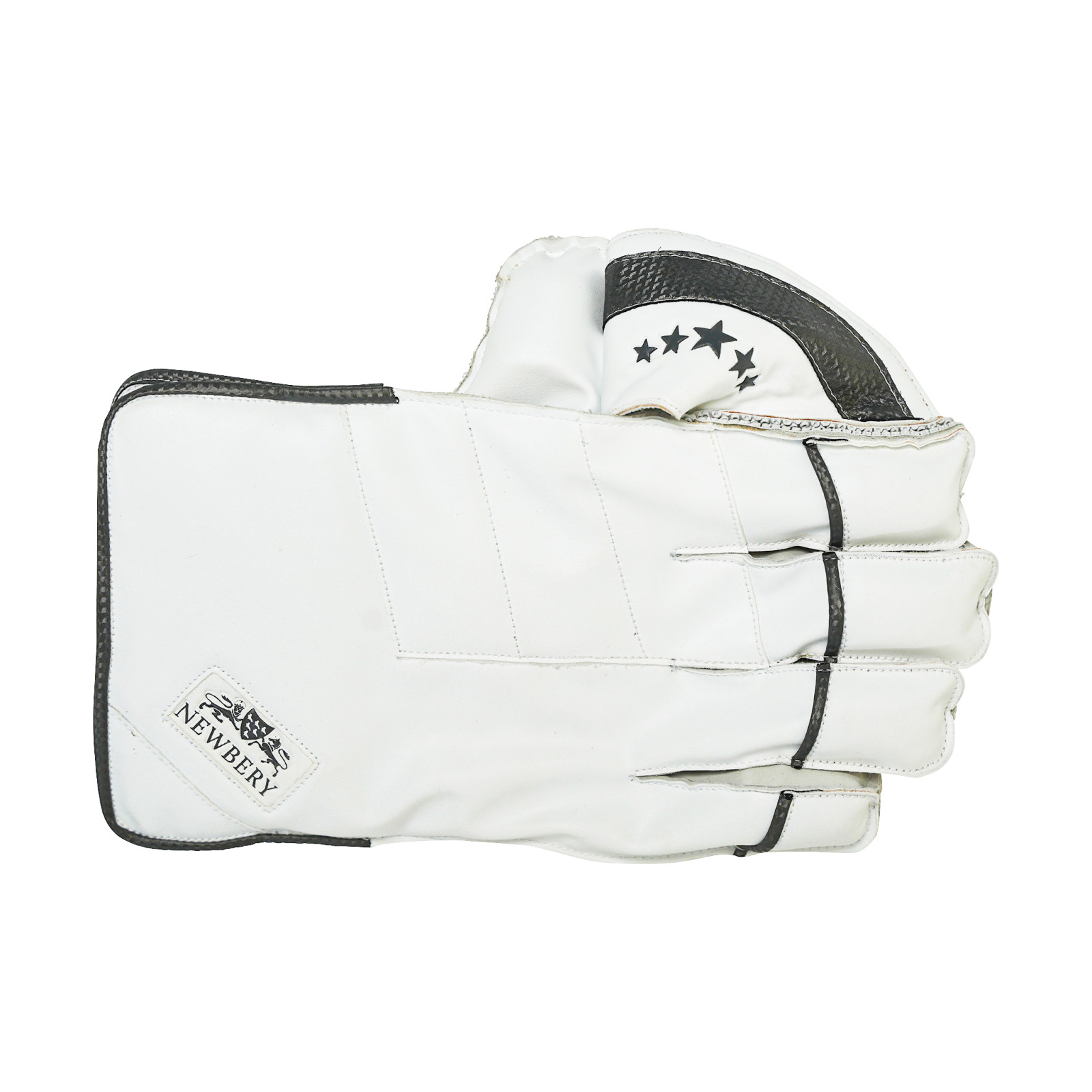 Newbery 5 Star Wicket Keeping Gloves (2024) - Detail