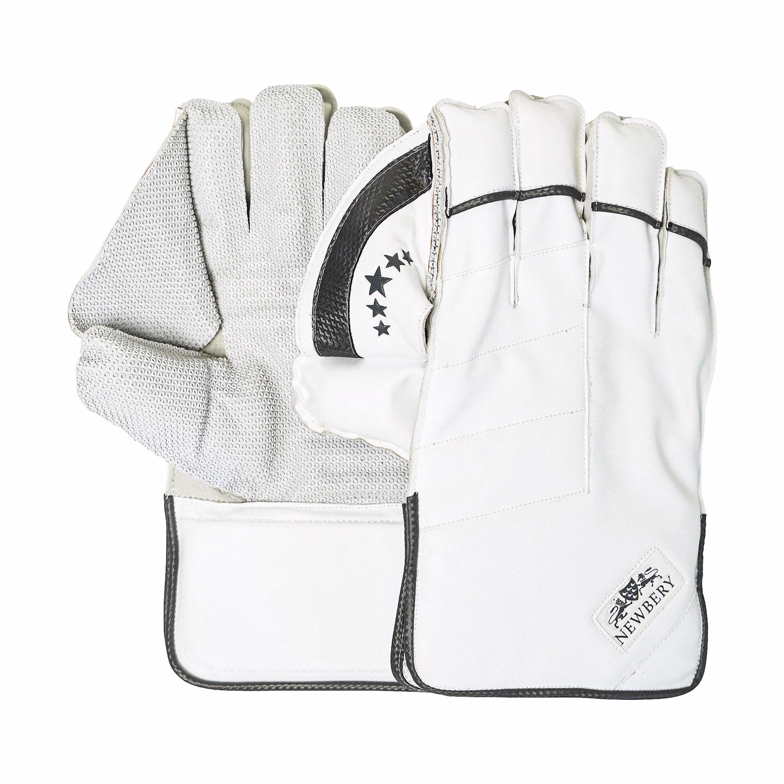 Newbery 5 Star Wicket Keeping Gloves (2024) - Image 1 of 4