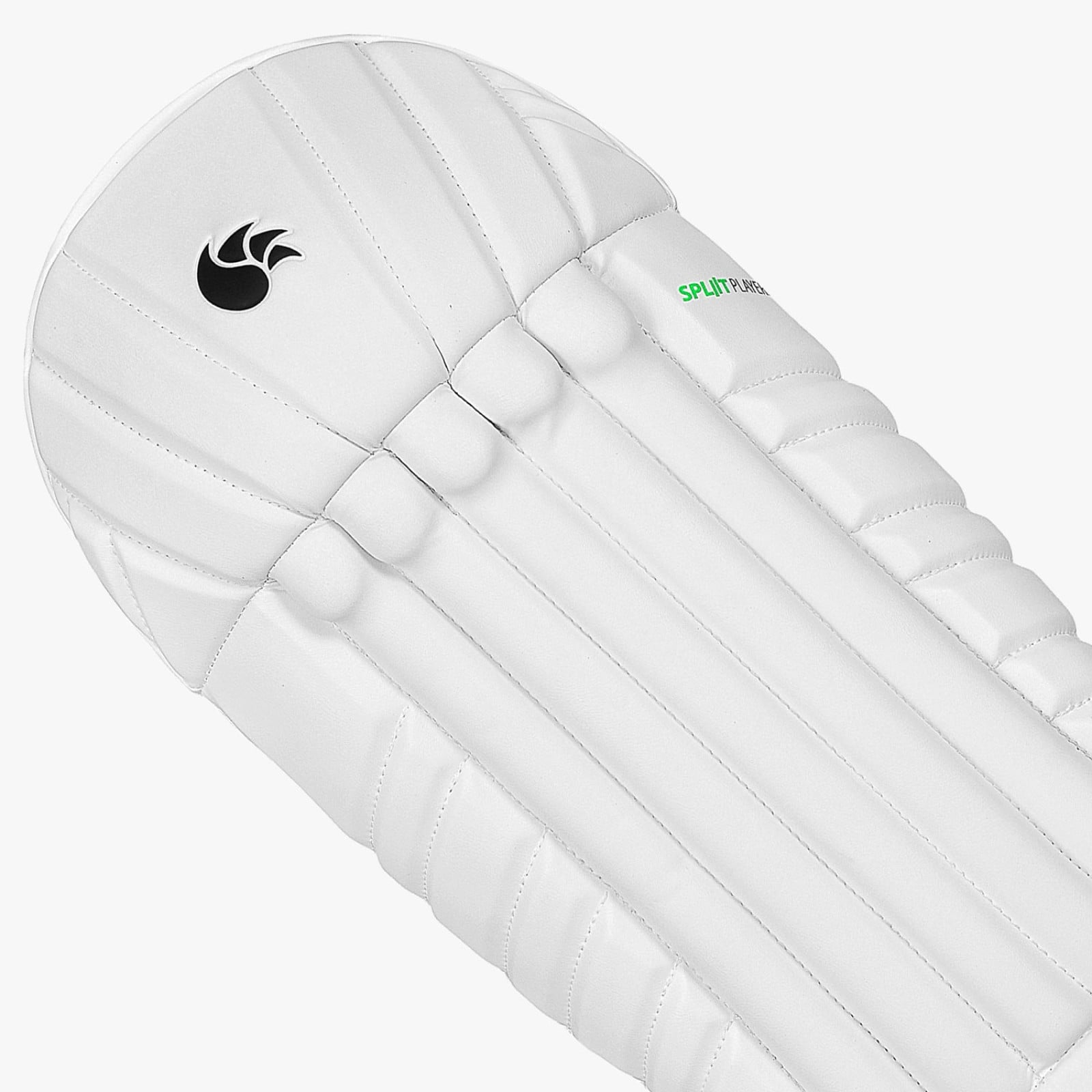DSC Split Players Wicket Keeping Pads (2025) - DSC Split Players Wicket Keeping Pads (2024) - Back View