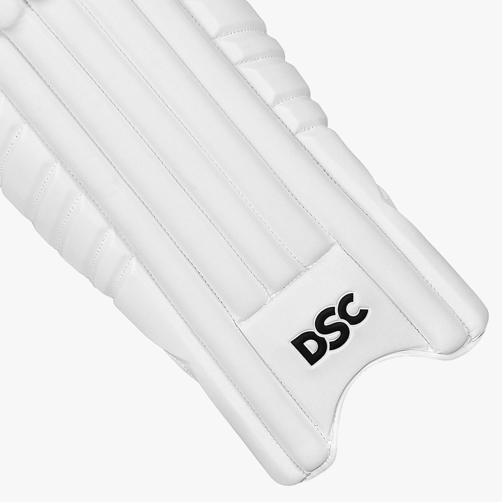 DSC Split Players Wicket Keeping Pads (2025) - DSC Split Players Wicket Keeping Pads (2024) - Detail