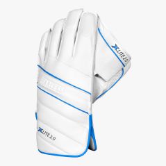 DSC Xlite 2.0 Wicket Keeping Gloves (2024)