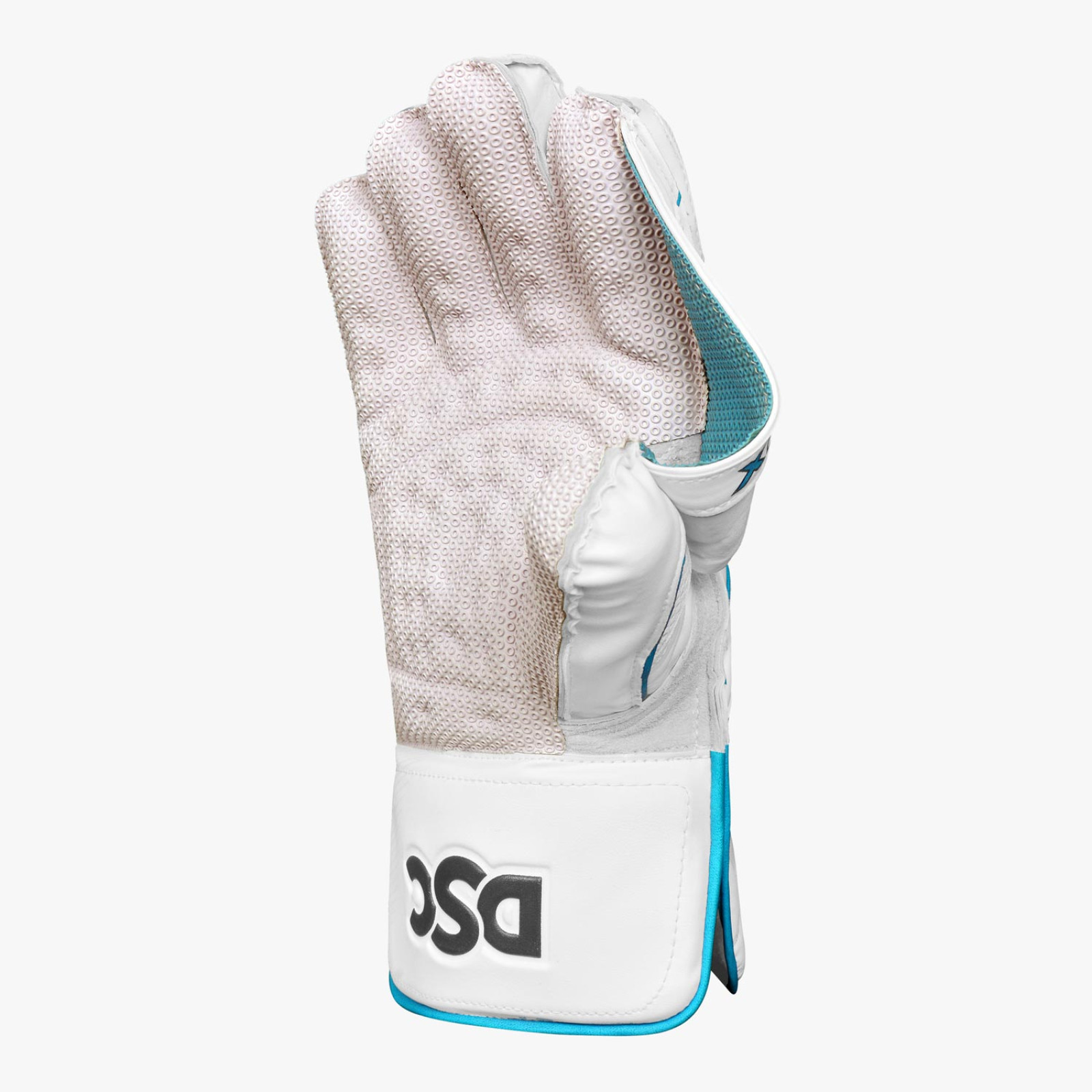 DSC Xlite 2.0 Wicket Keeping Gloves (2024) - Back View