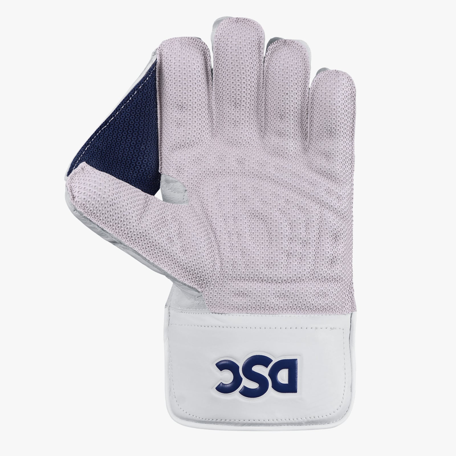 DSC Pearla Players Wicket Keeping Gloves (2025) - DSC Pearla Players Wicket Keeping Gloves (2024) - DSC Pearla Players Wicket Keeping Gloves (2024) - DSC Pearla Players Wicket Ke