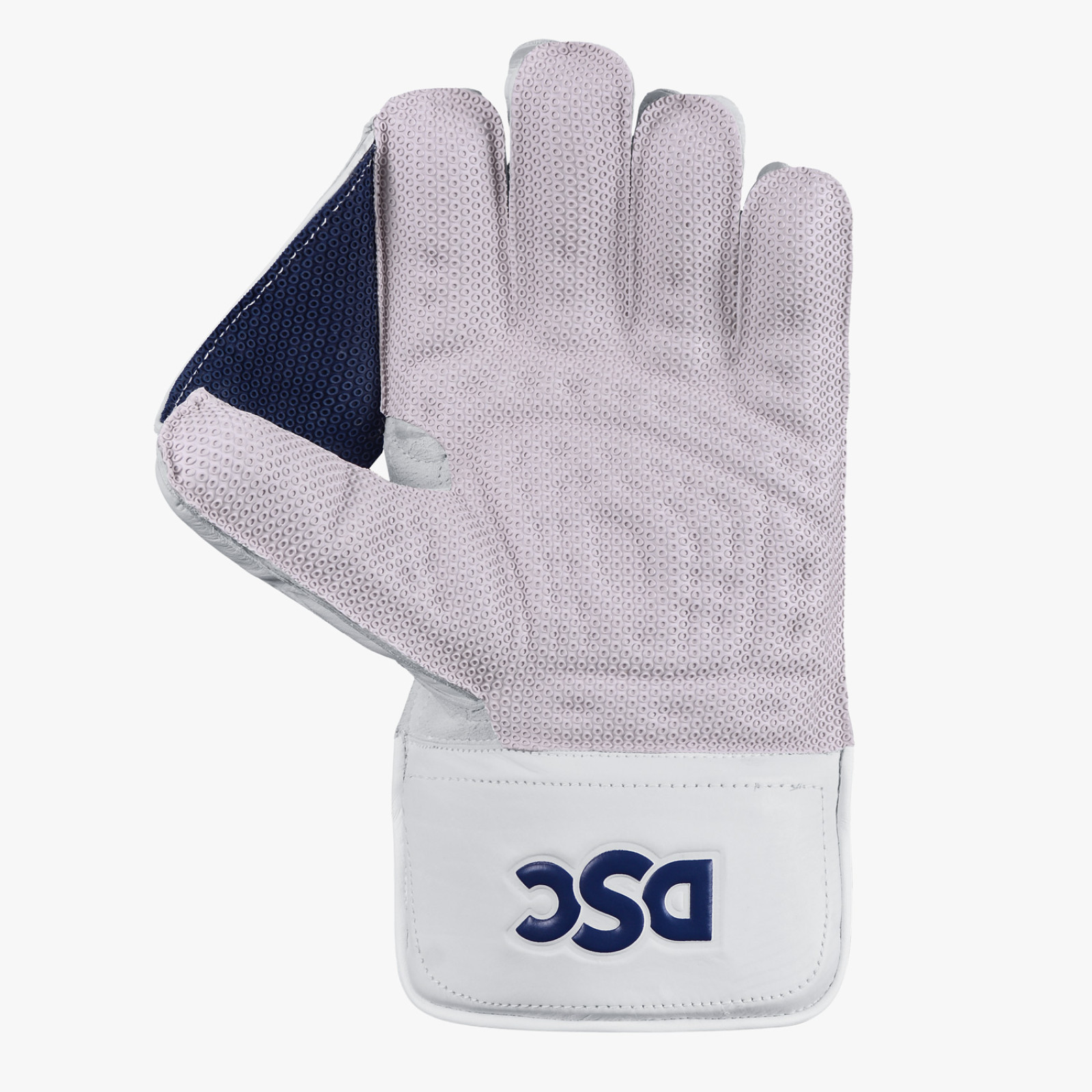 DSC Pearla Players Wicket Keeping Gloves (2025) - DSC Pearla Players Wicket Keeping Gloves (2024) - DSC Pearla Players Wicket Keeping Gloves (2024) - DSC Pearla Players Wicket Ke