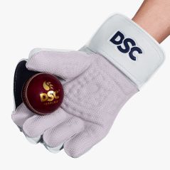 DSC Pearla Players Wicket Keeping Gloves (2024) - DSC Pearla Players Wicket Keeping Gloves (2024) - DSC Pearla Players Wicket Ke