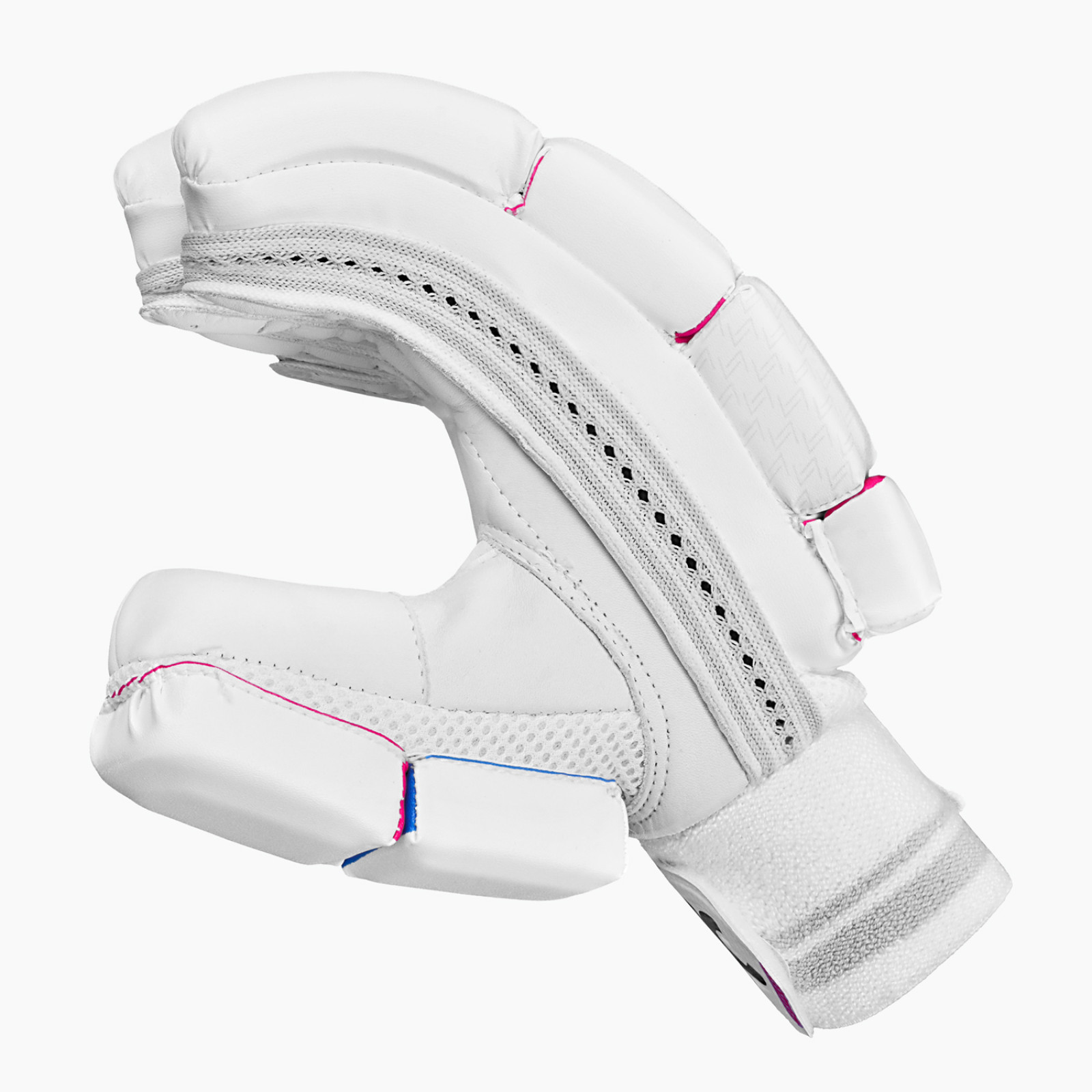 DSC Intense 4000 Cricket Gloves (2024) - Back View
