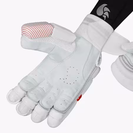 DSC Krunch 7000 Cricket Gloves (2025)