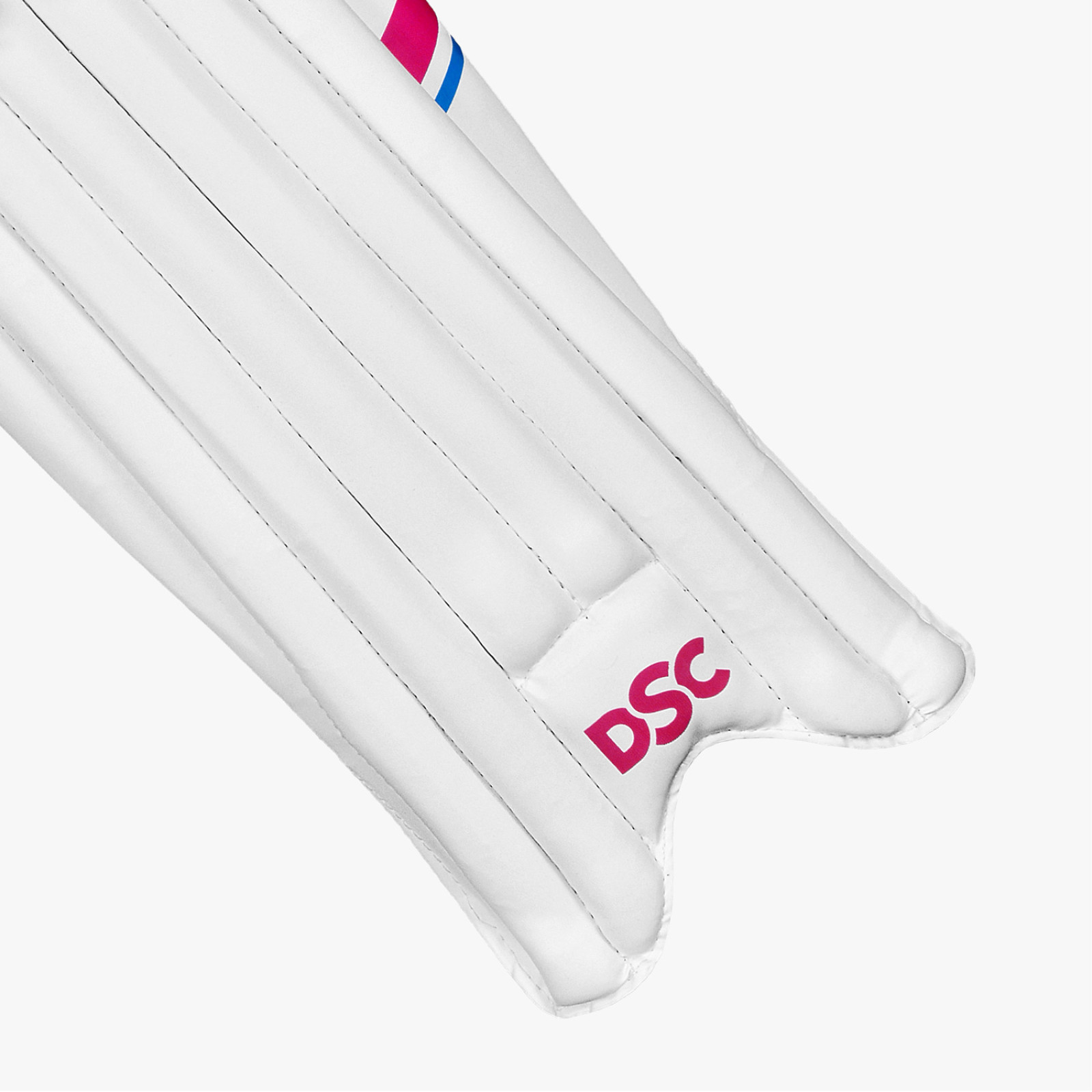 DSC Intense 5000 Cricket Pads (2024) - Back View