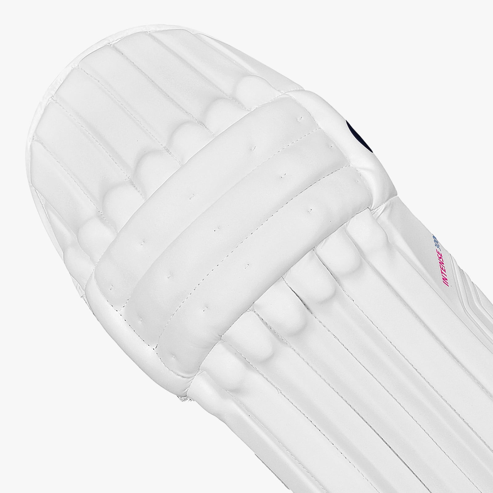 DSC Intense 3000 Cricket Pads (2024) - Close-up